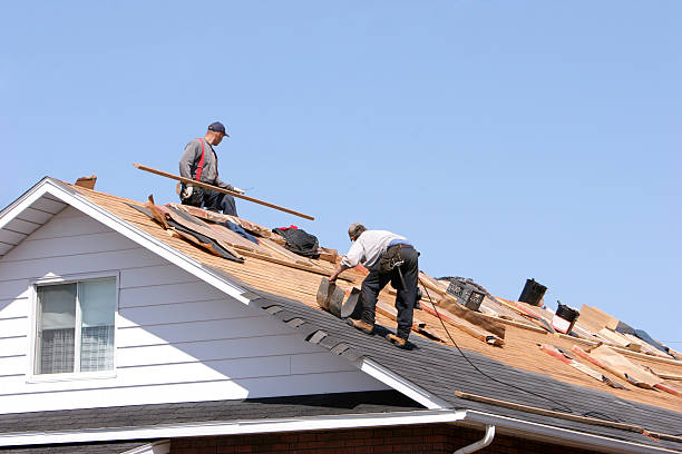 Best Roof Leak Repair  in Paris, TX